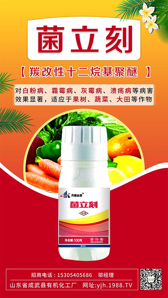 ����˪ù��߀�ǰ׷۲����e��ɵɵ�ֲ���������ηֱ漰���Σ�