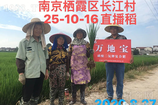 ˮ�����Y���Ì��a(ch��n)���ж��Ӱ푣����Mˮ�����Y��ô����