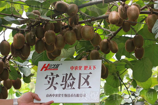 �J����������c(di��n)����Щ���J����������ôʩ