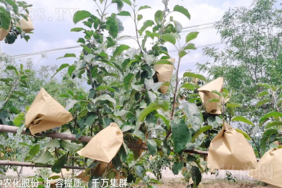     �����״���ɜp���r(n��ng)ˎ���������ƹ��ӵ����^Ʒ�|(zh��)���ɴ����߹�Ʒ�u���������׳��۲��u���߃r�����Թ����״�Ŀǰ��Ȼ���҇����@����Ҫ�����������״��O��������Ǻ���Ҳ�ٲ�����