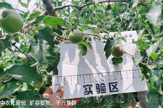     �����״���ɜp���r(n��ng)ˎ���������ƹ��ӵ����^Ʒ�|(zh��)���ɴ����߹�Ʒ�u�࣬�����׳��۲��u���߃r�����Թ����״�Ŀǰ��Ȼ���҇����@����Ҫ�����������״��O��������Ǻ���Ҳ�ٲ�����