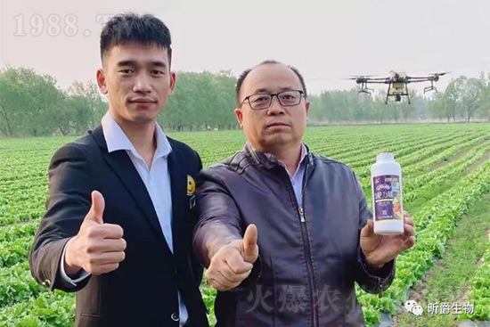 玉米追肥復(fù)合肥好還是尿素好?很多人都錯(cuò)了!它才是正確選擇