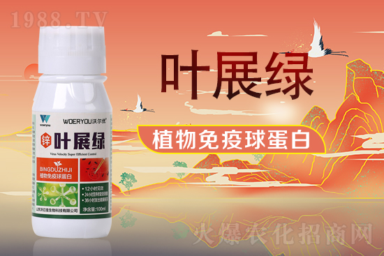 ɽ�|�փ|������Ƽ����޹�˾44