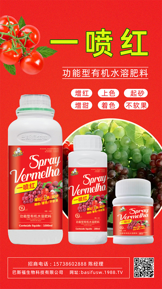 ����(sh��)�D(zhu��n)ɫ����������������������u�r(ji��)������ǰ������