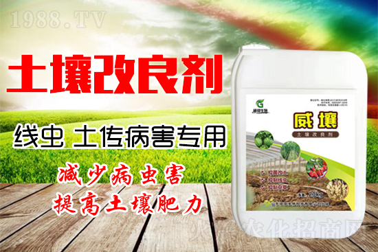 222������Y(ji��)���x(ch��ng)������������(y��n)��������һ�з�������