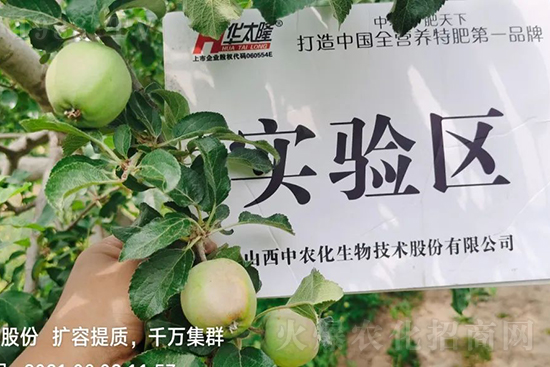 蘋果果個(gè)小是什么原因?解決對(duì)策有哪些?