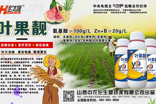 蘋果果個(gè)小是什么原因?解決對(duì)策有哪些?