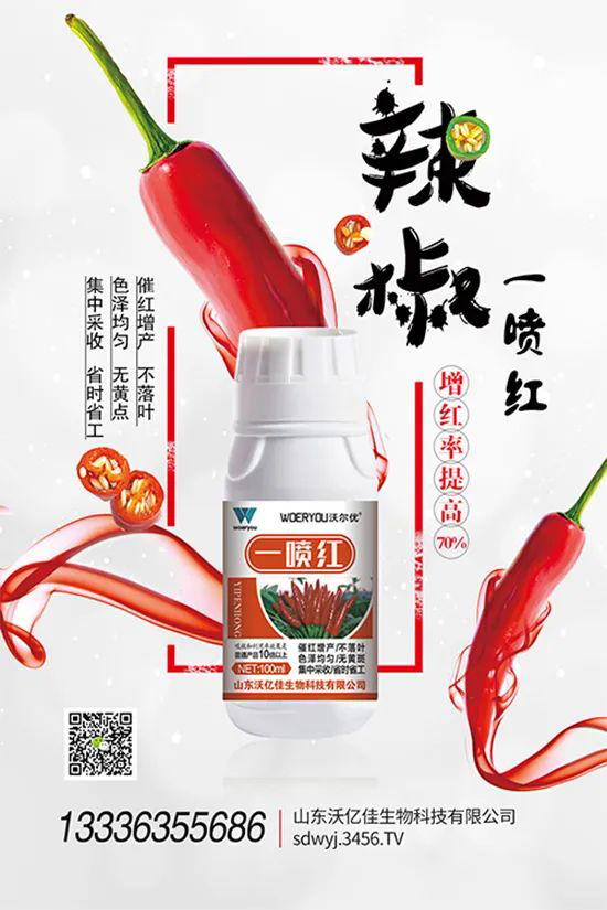 ���t�����95%���߼t�����~�����뷭�׷�����������һ���t��