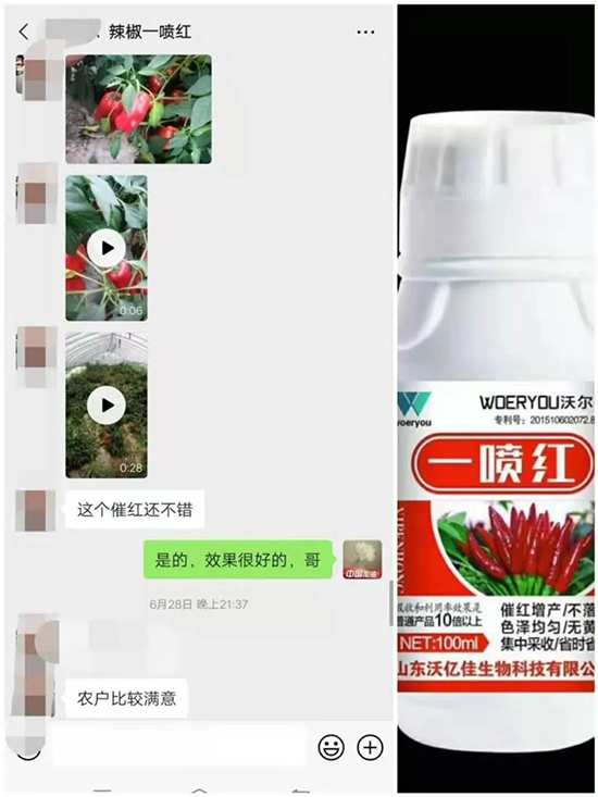 ���t�����95%���߼t�����~�����뷭�׷�����������һ���t��