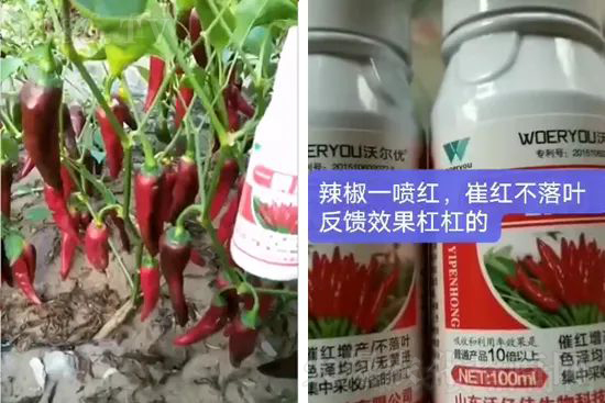 ���t�����95%���߼t�����~�����뷭�׷�����������һ���t��