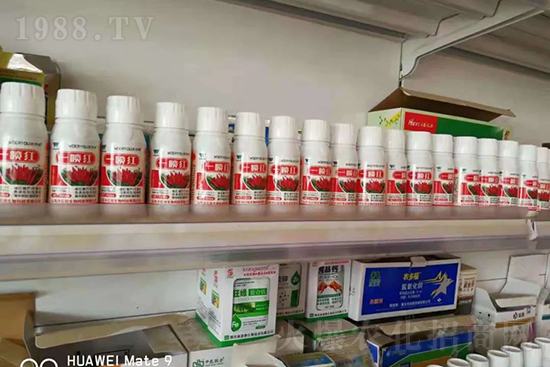 ���t�����95%���߼t�����~�����뷭�׷�����������һ���t��