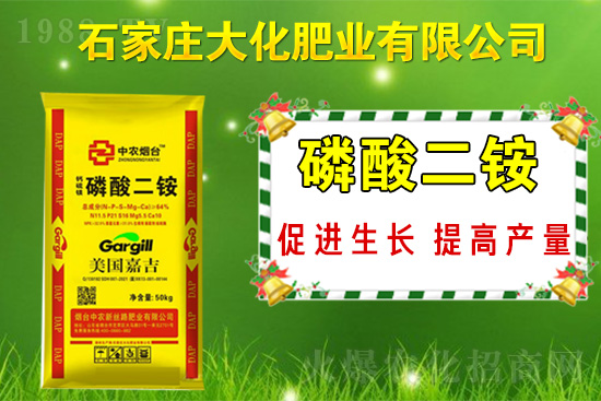 ��(zh��n)�Ժ�����������ʯ���f�󻯷ʘI(y��)�ٴκ��s1988.TV��