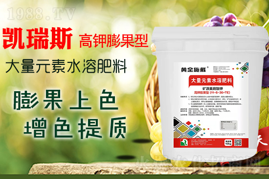     ���M(j��n)���������ɫ���@��(g��)�䷽��(zh��n)�]�e(cu��)���������|(zh��)���a(ch��n)��