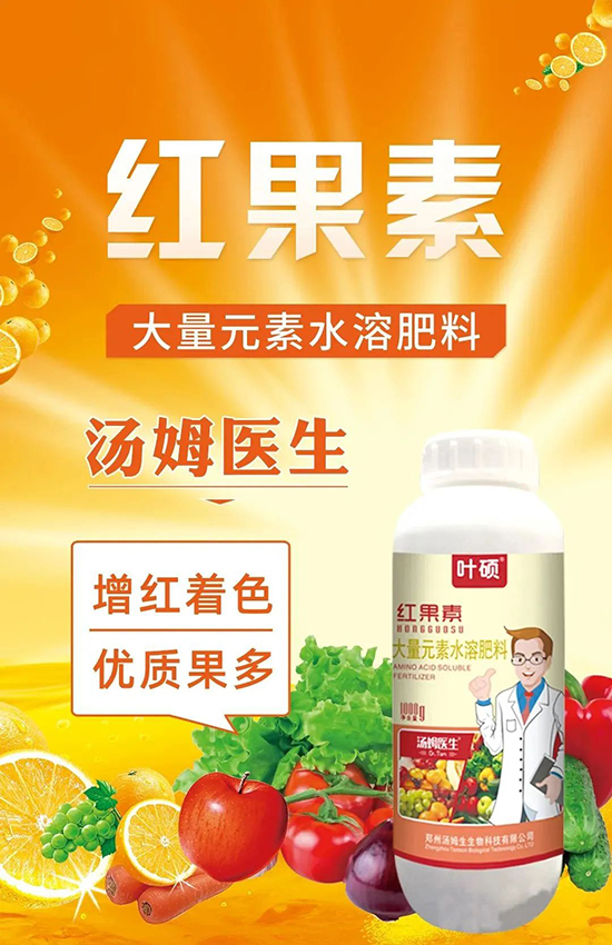 �t���ء�ֻ���Dɫ�������Dɫ�졢�����߼t���ó