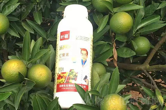 �t���ء�ֻ���Dɫ�������Dɫ�졢�����߼t���ó���