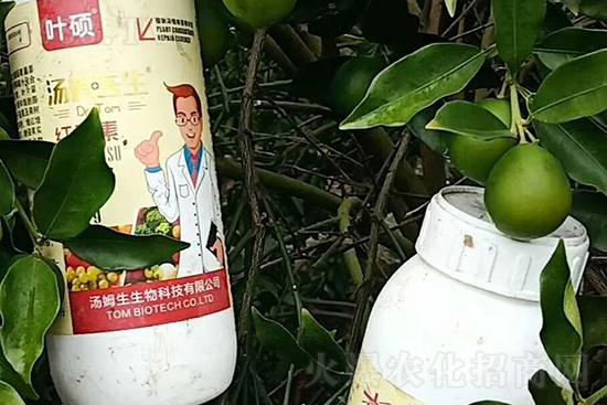 �t���ء�ֻ���Dɫ�������Dɫ�졢�����߼t���ó���