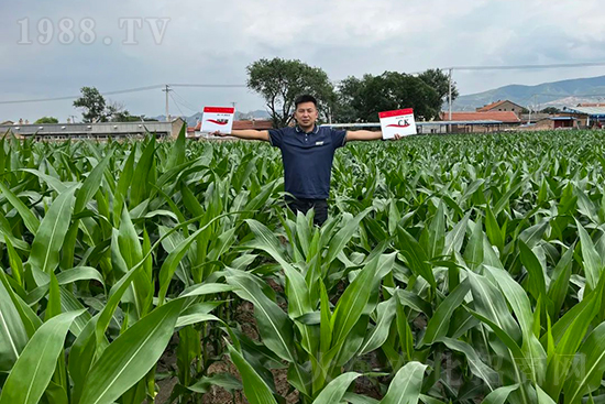 ��Դ������������I�B(y��ng)�a(b��)��ȫ����