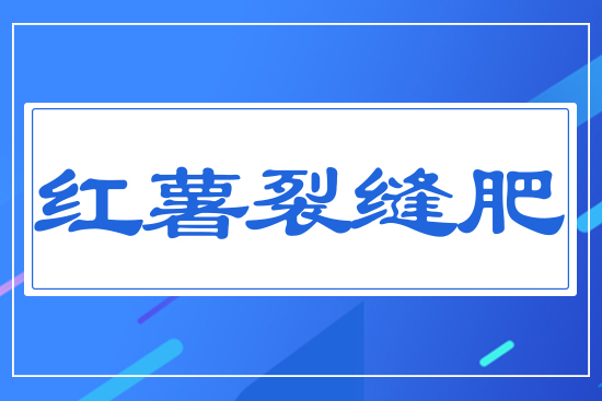 �t���ѿp��