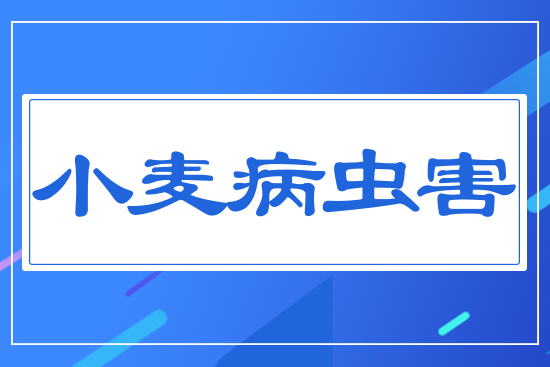 С�����x(ch��ng)��