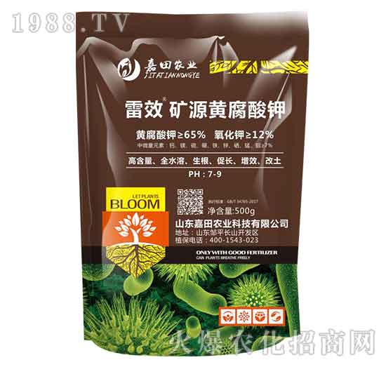 500g��Ч�VԴ�S�����-�����r(n��ng)�I(y��)