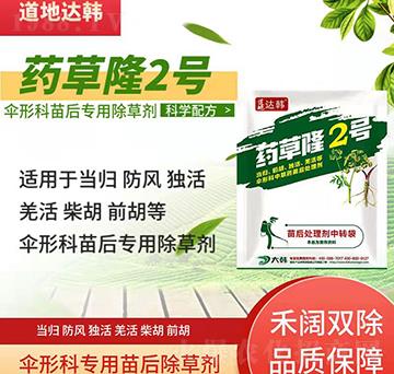 ���οƳ��݄�-���ο����-���οƌ���-���n